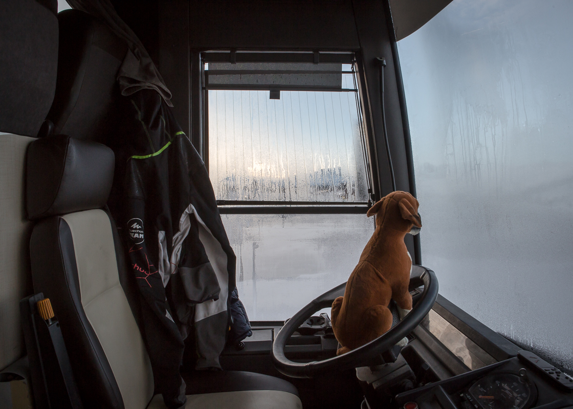 PHS 20150102-REMY_COSTE_MUSHER--41